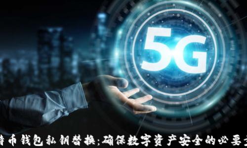 
比特币钱包私钥替换：确保数字资产安全的必要步骤