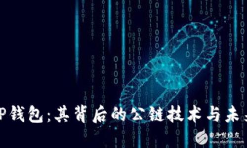 探秘TP钱包：其背后的公链技术与未来发展