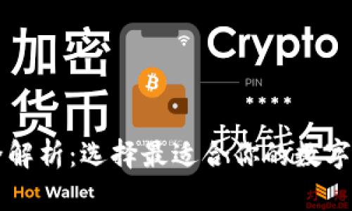 专业区块链钱包品牌全解析：选择最适合你的数字资产资金存储解决方案