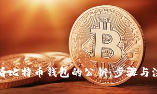 如何查看比特币钱包的公钥：步骤与注意事项