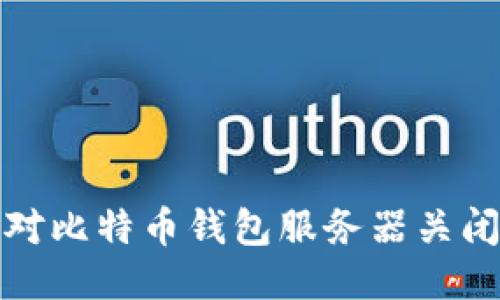 如何应对比特币钱包服务器关闭的问题