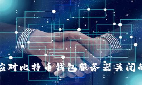 如何应对比特币钱包服务器关闭的问题