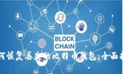 如何恢复丢失的比特币钱