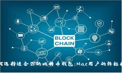 如何选择适合你的比特币钱包：Mac用户的终极指南