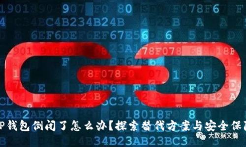 TP钱包倒闭了怎么办？探索替代方案与安全保障