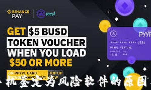 
TP钱包被手机鉴定为风险软件的原因与解决方案