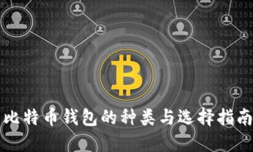 比特币钱包的种类与选择指南