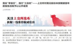 TP钱包中的BZZ资产的真实性