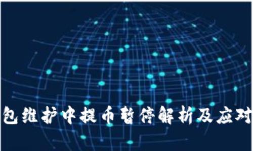 TP钱包维护中提币暂停解析及应对策略