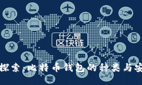 深入探索：比特币钱包的种类与安全性