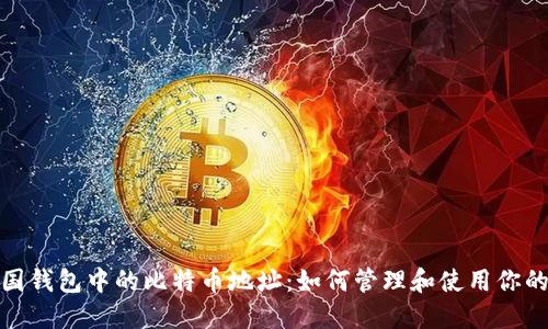 : 探寻美国钱包中的比特币地址：如何管理和使用你的数字资产
