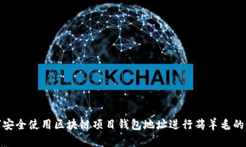 如何安全使用区块链项目钱包地址进行薅羊毛的攻略