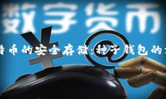     比特币的安全存储：种