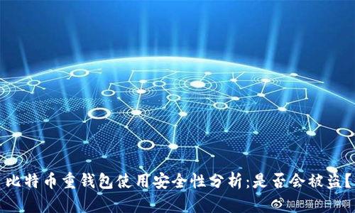 比特币重钱包使用安全性分析：是否会被盗？