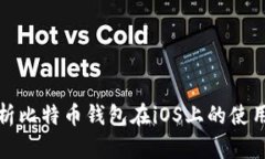 全面解析比特币钱包在i