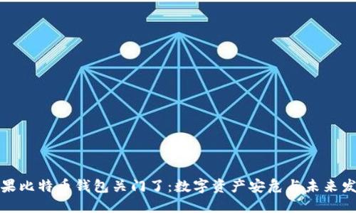 如果比特币钱包关门了：数字资产安危与未来发展