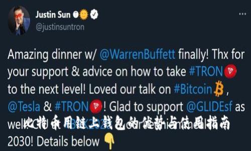比特币用链上钱包的优势与使用指南