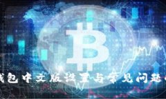 TP钱包中文版设置与常见问题解析