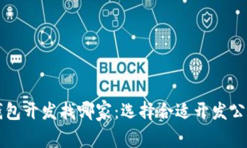 区块链钱包开发找哪家：选择合适开发公司的指南