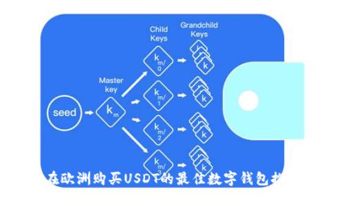 在欧洲购买USDT的最佳数字钱包推荐