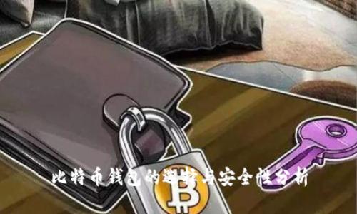 比特币钱包的选择与安全性分析