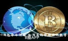 USDT钱包命令详解：如何高效管理你的数字资产