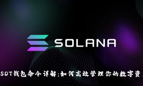 USDT钱包命令详解：如何高效管理你的数字资产