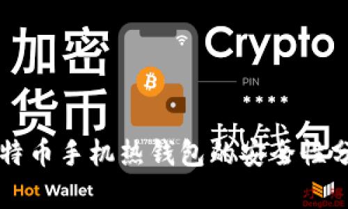 比特币手机热钱包的安全性分析