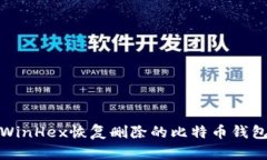使用WinHex恢复删除的比特币钱包文件