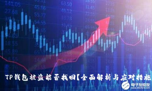  TP钱包被盗能否找回？全面解析与应对措施