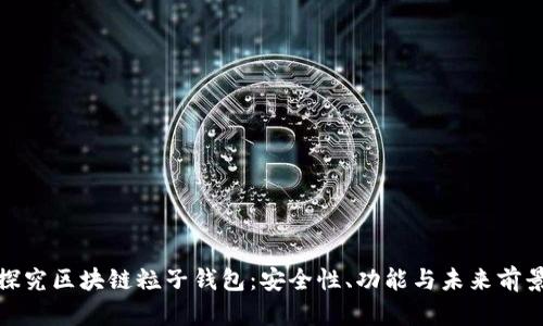 探究区块链粒子钱包：安全性、功能与未来前景