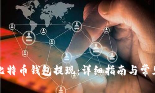 如何使用比特币钱包提现：详细指南与常见问题解析