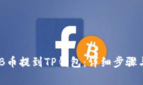 如何将BNB币提到TP钱包：详细步骤与注意事项