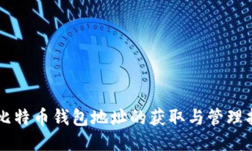 新比特币钱包地址的获取与管理指南