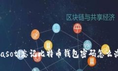 biasoti忘记比特币钱包密码