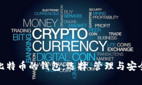 玩比特币的钱包：选择、管理与安全性