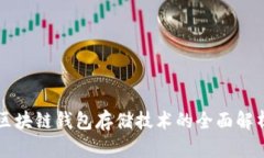 区块链钱包存储技术的全面解析