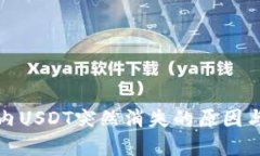 火币钱包内USDT突然消失的原因与解决方案