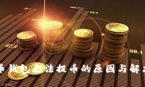比特币钱包无法提币的原因与解决方案