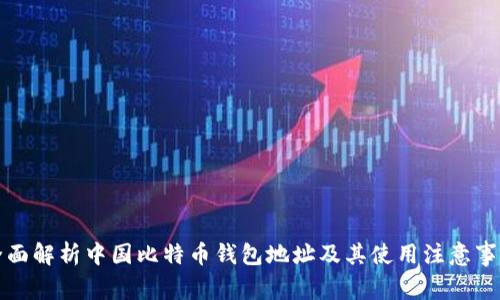 全面解析中国比特币钱包地址及其使用注意事项