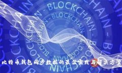 比特币钱包同步数据的最佳实践与解决方案