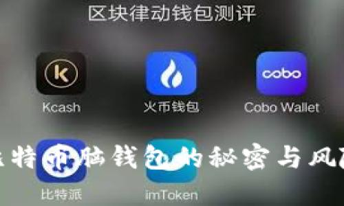 比特币脑钱包的秘密与风险