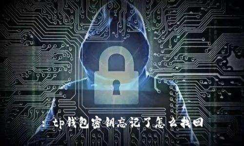 : tp钱包密钥忘记了怎么找回
