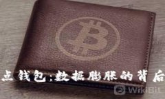 比特币全节点钱包：数据
