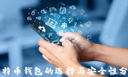 
比特币钱包的选择与安全性分析