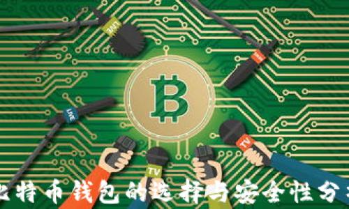 
比特币钱包的选择与安全性分析