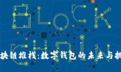 区块链堆栈：数字钱包的未来与挑战