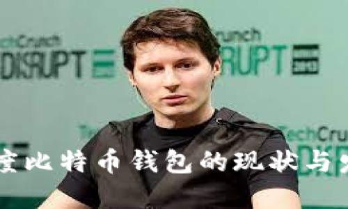印度比特币钱包的现状与发展