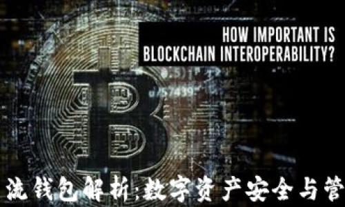 
虚拟币主流钱包解析：数字资产安全与管理的未来