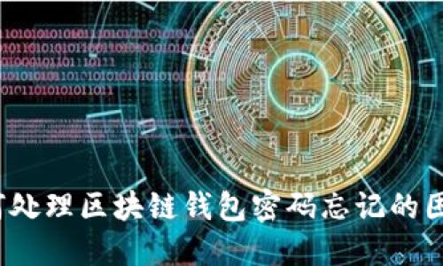 如何处理区块链钱包密码忘记的困境？